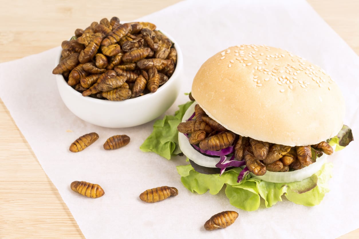 Que risquez-vous à manger des insectes ?